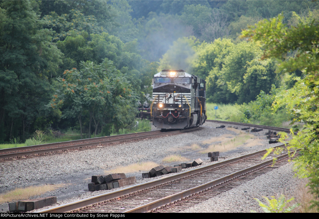 NS 7717 leading a container train